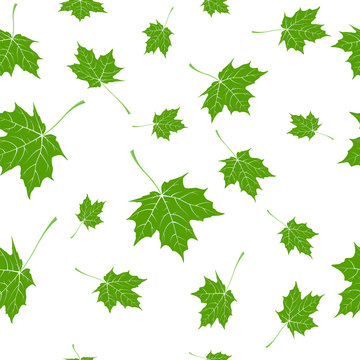 Maple falling leaves, green leaves on a white background. seamless background