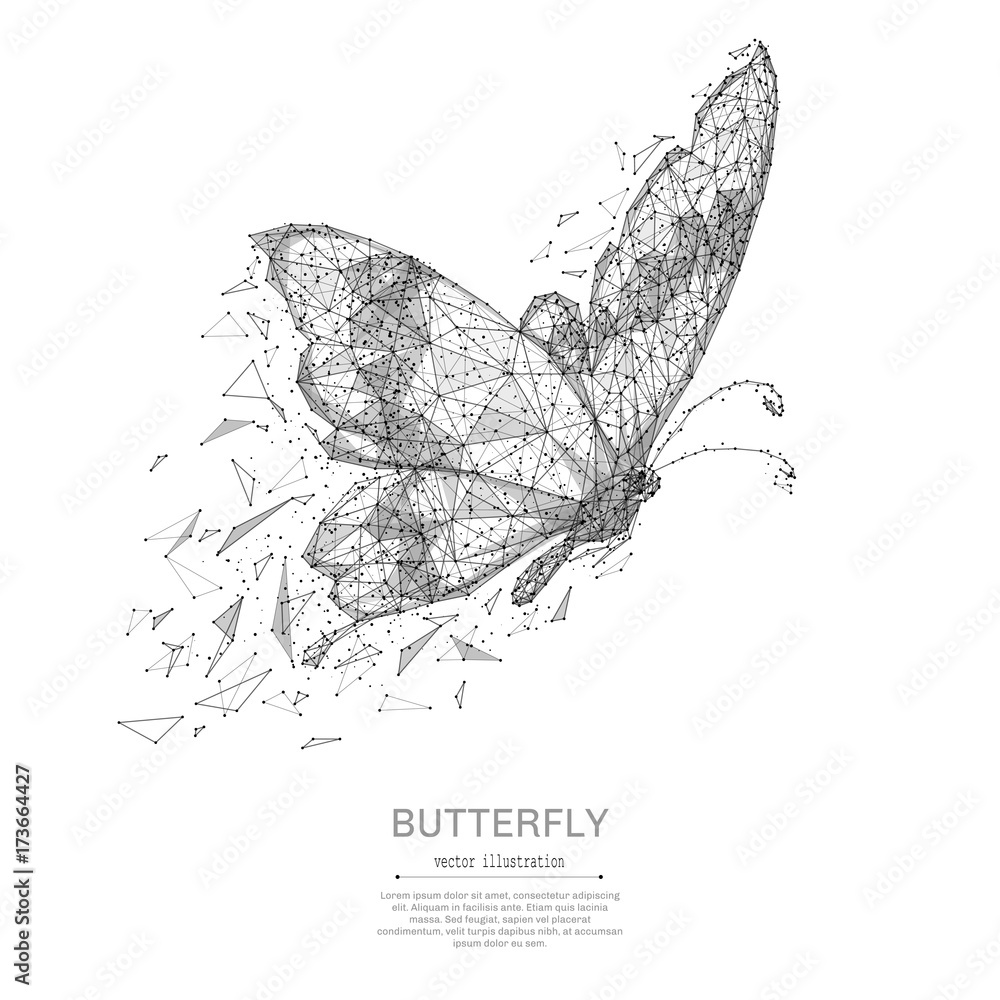 Poster Butterfly low poly wireframe isolated black on white background. Abstract mash line and point origami. Vector polygon illustration. Insect with geometry triangle. Light connection digital structure.