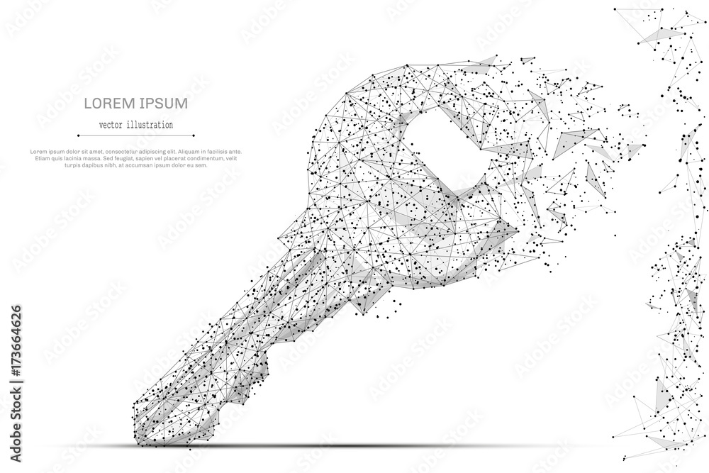 Wall mural Lock key isolated low poly wireframe on white background. Data storage and protection. Vector abstract polygonal image mash line and point hands collect puzzle with an inscription. Digital graphics