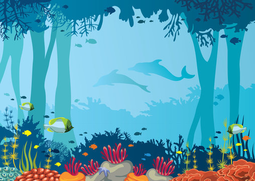 Coral, fish, underwater cave, dolphin and sea.