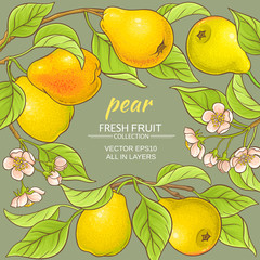 pears vector frame