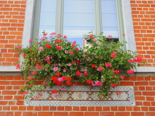 Fototapeta na wymiar Altbau: Bunte Blumen am Fenster