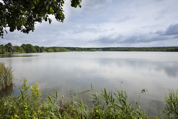 Warnker See, Müritz-Nationalpark, Mecklenburgische Seenplatte, Mecklenburg-Vorpommern, Deutschland