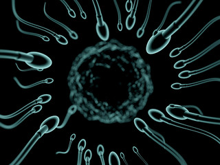 Sperm and egg cell microscopic view. 3D rendering