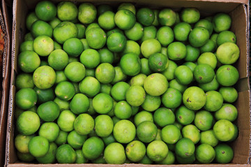 lime fruit texture