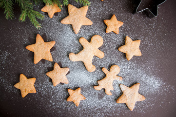 Fototapeta na wymiar Different shapes of gingerbread cookies