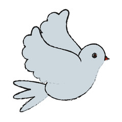 white bird of peace vector icon illustration graphic design