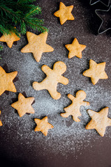 Different shapes of gingerbread cookies