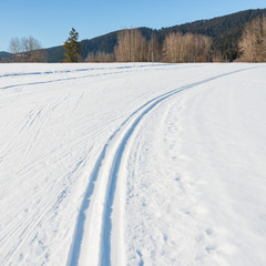Fototapeta na wymiar Winter landscape. Winter landscape. Ski track in the snow. Clear sunny frosty day.