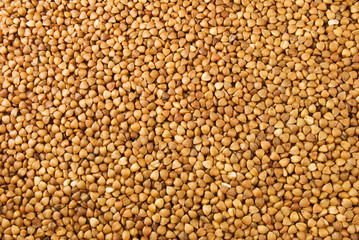 image  of roasted buckwheat close up