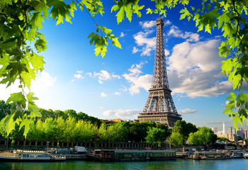Fototapeta na wymiar Seine in Paris with tower
