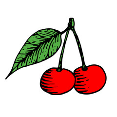 Cherry with leaf. Colored sketch