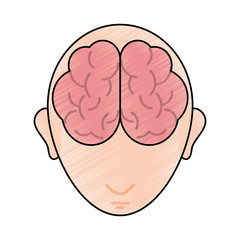 medical human brain vector icon illustration graphic design