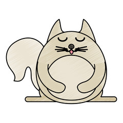 satisfied pet cat vector icon illustration graphic design