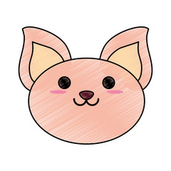 smiling pet cat vector icon illustration graphic design