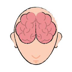 medical human brain vector icon illustration graphic design