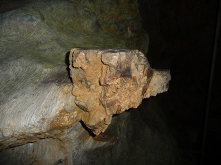 右側を向いている熊の横顔のような、独特な形状の鍾乳洞内壁(岩手県)