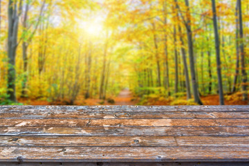 Naklejka na ściany i meble Empty wooden table top, sunny forest in autumn background, ready to use for display or montage of your products