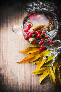 Cup of autumn tea with healthy healing berries and fall leaves, top view