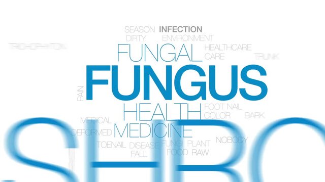 Fungus animated word cloud, text design animation. Kinetic typography.