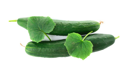 Fresh cucumbers on white background