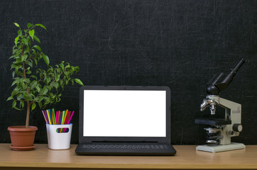Fototapeta premium Teacher or student desk table. Education background. Education mockup concept. Laptop with blank screen, microscope, plant tree in the pot and colour pencils on blackboard (chalkboard) background.
