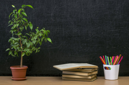 Teacher Or Student Desk Table. Education Background. Education Mockup Concept. Green Plant Tree, Stacked Books And Colour Pencils In Pencil Holder On Blackboard (chalkboard) Background.