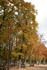 All&eacute;e du jardin du Luxembourg en automne &agrave; Paris, France