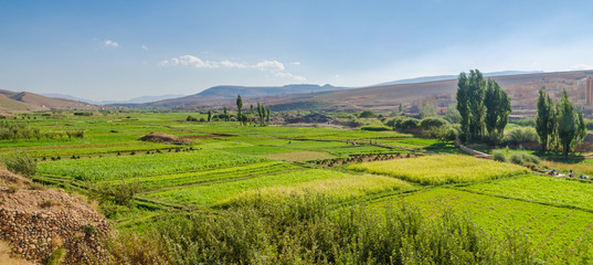 Obraz premium Lush fertile valley of Dades Gorge landscape with green plantations and fields, Morocco, North Africa