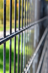 Close up of iron fence. Focus on foreground, vertical image.