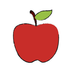 apple fruit icon image vector illustration design