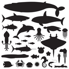 Fototapeta premium Logo lub szablony etykiet podwodnych zwierząt i stworzeń morskich. Ryby morskie i morskie oraz inne kolekcje sylwetek życia wodnego. Płetwal błękitny, devilfish, delfin, orka, ośmiornice, mięczaki ikony.
