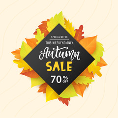 Autumn sale banner template with bright colorful fall leaves