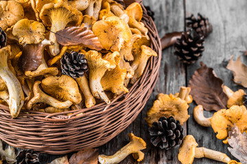 Fresh chanterelles mushrooms in a basket on wooden table