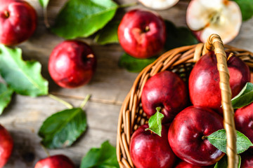 Naklejka na ściany i meble Farm fresh apples on table, basket of red apple fruits, top view on farmer market