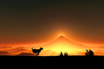 Fototapeta na wymiar 富士山の日の出と走る犬のシルエット