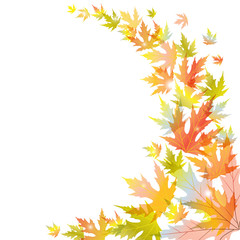 Flying Maple Leaves. Autumnal vector illustration.