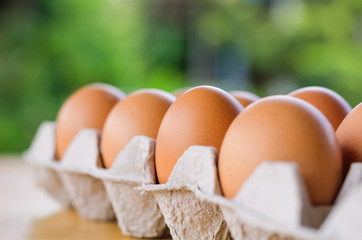 Close-up raw chicken eggs in egg box on table and green background
