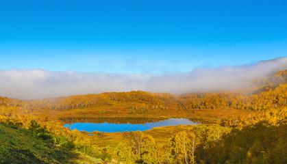 Beautiful forest lake in the autumn day.