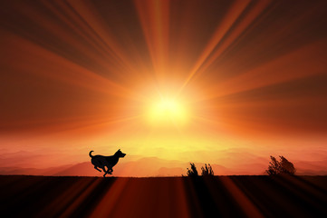 日の出と走る犬のシルエット