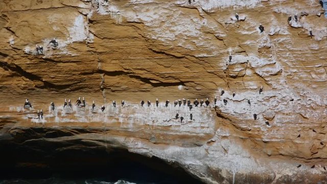 Paracas