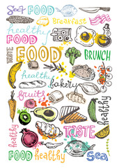 Hand drawn doodle food illustration. Big set Healthy food