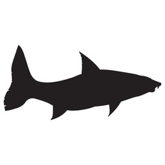 Vector image of a silhouette of fish
