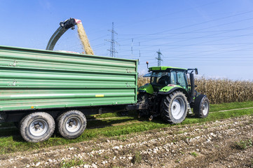 Corn harvest on farmland in Slovenia.