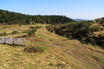 sentier de randonnée en Auvergne