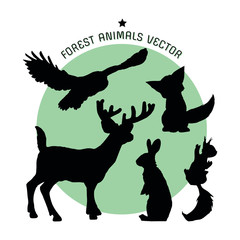 Tiere - Lebensraum Wald