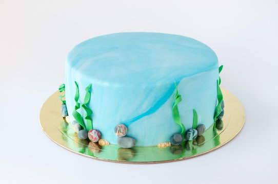 Art cake designed in the form of an underwater world with algae and pebbles. Picture for a menu or a confectionery catalog.