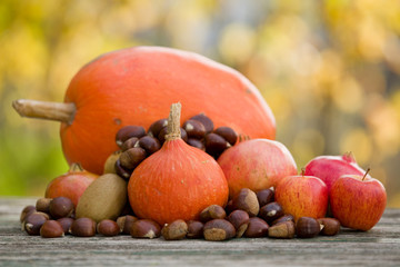 autumn fruits