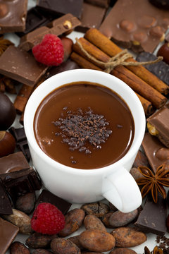 hot chocolate in a cup and ingredients, top view
