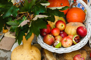 Organic ripe fruit in basket in autumn garden. Fresh apples and pumpkin in nature.